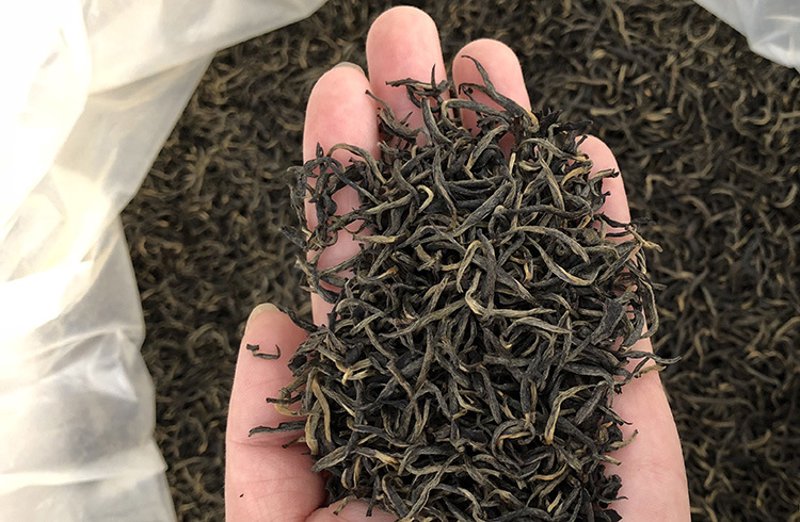 大茶沟:信阳茶叶合作社的崛起之路