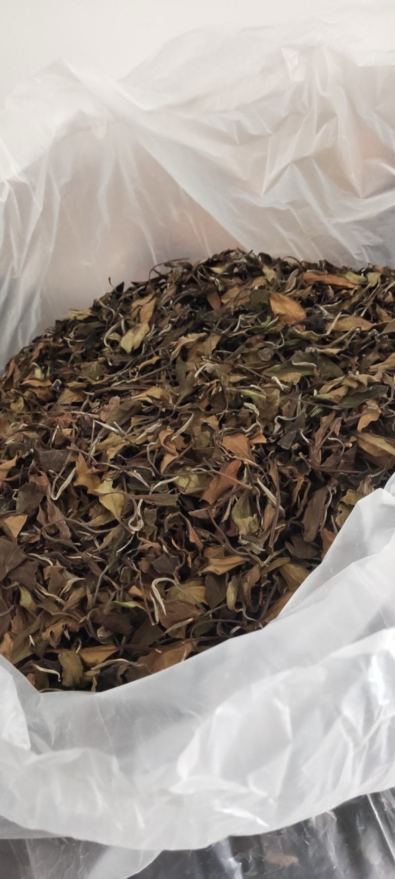 大茶沟茶叶合作社:如何引领传统茶园走出困境